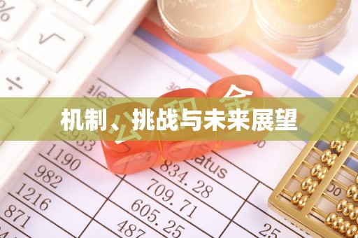 兴和机制、挑战与未来展望
